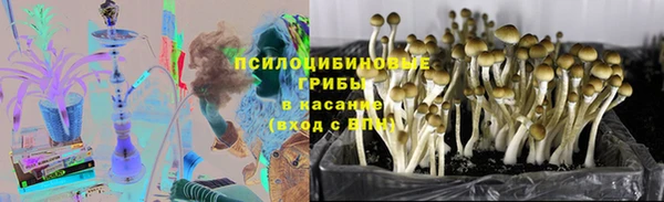 ешки Балахна