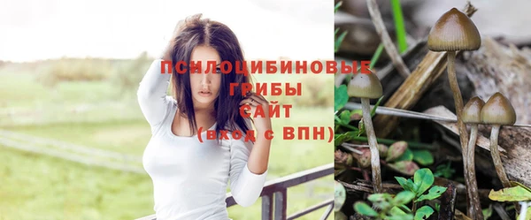 трава Строитель